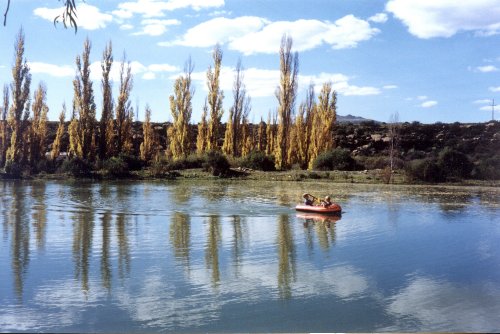 Ganora (2)